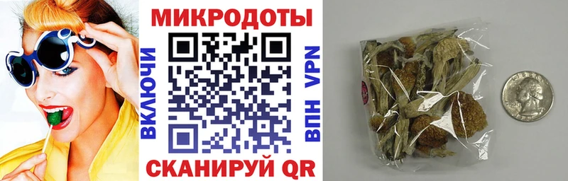 Псилоцибиновые грибы прущие грибы  Анадырь 